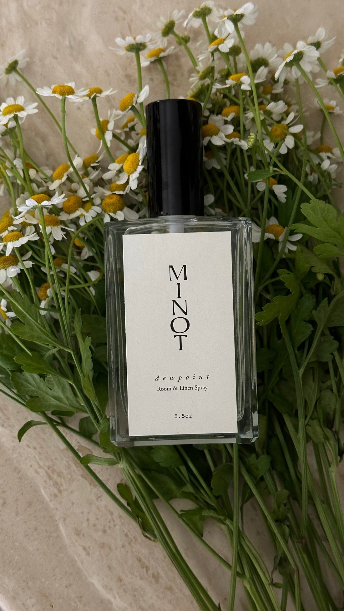 Best Scents for Stress Relief