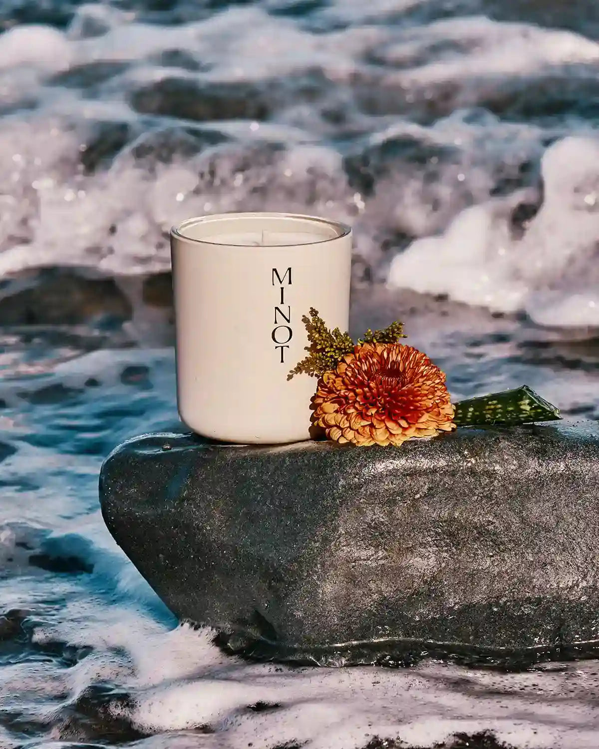 The Terrene candle, a chrysanthemum bloom, and an aloe leaf sit on a rock, surrounded by ocean waves